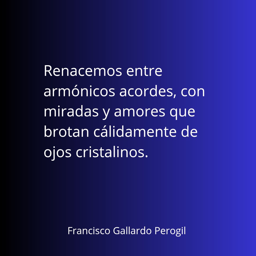 Paco7Gallardo's tweet photo. Tus ojos regalan el brillo del firmamento 💙💙 https://t.co/6vmFHd1qhT