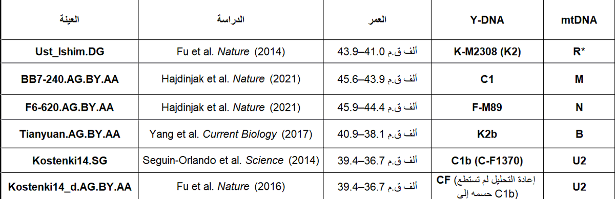 tmooofi's tweet photo. اخيرا  :  إعادة رسم شجرة الأوراسيين الأوائل

ثم جاءت دراسة  Leonardo Vallini et al. (2024) لتقدم أحد أكثر النماذج التكاملية لفهم تاريخ الأوراسيين الأوائل، وذلك بإعادة بناء العلاقات التطورية بين أقدم الجينومات البشرية المعروفة. واستنتج الباحثون أن  Basal Eurasian يمثل فرعًا أوراسيًا قديمًا انفصل عن بقية الأوراسيين قبل انقسام الأوراسيين الغربيين(West Eurasian Core; WEC) والأوراسيين الشرقيين (East Eurasian Core; EEC)، وربما حتى قبل تشكل مجموعة الـHub  التي انحدرت منها غالبية السلالات الأوراسية اللاحقة.

ويُجسّد الشكل (A) هذا النموذج بوضوح؛ إذ يظهر Basal Eurasian  كفرع مبكر ينفصل قبل التباعد بين WEC وEEC، بينما تمثل  Hub السلف الذي انحدرت منه معظم المجموعات الأوراسية غير الحاملة لذلك الفرع المبكر.

ولبناء هذه الشجرة، اعتمد الباحثون على أقدم الجينومات البشرية المتاحة في الجدول موضحة ببياناتها

ومن الملاحظ أن جميع العينات الممثلة ل HUb تنتمي إلى فروع متفرعة من الجذر CF، مثل F وC وK2، وهي الفروع التي تمثل أوائل الأوراسيين المعروفين في السجل الجيني.
إذ إن العينات المستخدمة لتمثيل فرعي  WEC و Kostenki14 EEC  و Tianyuan  تحمل سلالات أبوية متفرعة من CF بأعمار  تفوق 35 الف سنة

ويتوافق ذلك مع النموذج الذي يفترض أن انفصال Basal Eurasian  سبق التوسع الذي أعطى لاحقًا هذه السلالات الأوراسية المبكرة.

أما الشكل (B) فيعرض التوزيع الجغرافي المحتمل لكل من  Hub وBasal Eurasian.  

وتشير الخريطة إلى أن الموقع الأكثر احتمالًا لمجموعة  Hub يقع في الهضبة الإيرانية والمناطق المجاورة، في حين يتركز الاحتمال الأعلى لوجود   Basal Eurasian  في شمال أفريقيا وشبه الجزيرة العربية وبلاد الشام، مع تراجع تدريجي لهذا المكوّن كلما ابتعدنا عن هذه المنطقة.