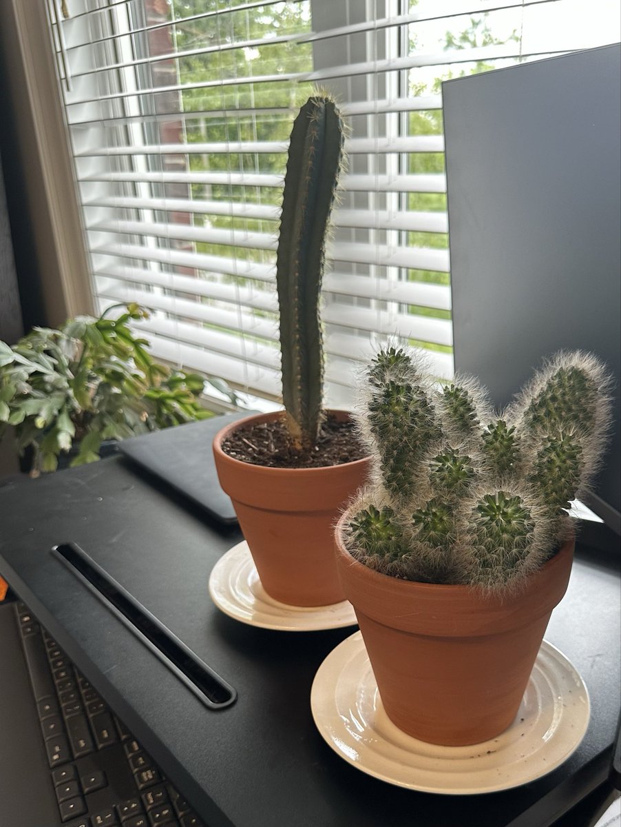 Dellinger0DTE's tweet photo. Welcome home, Demon #kawactis https://t.co/1TvqJXwKih