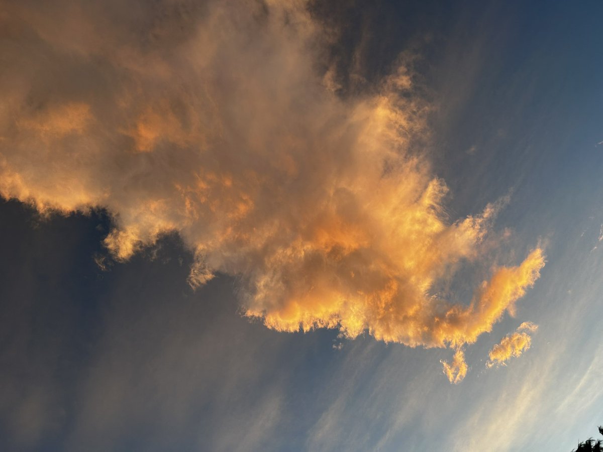 griseldash's tweet photo. #sunset https://t.co/Vkfsab6KHx