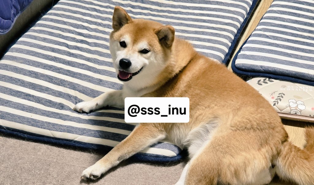 おはよ～～🐶🐶