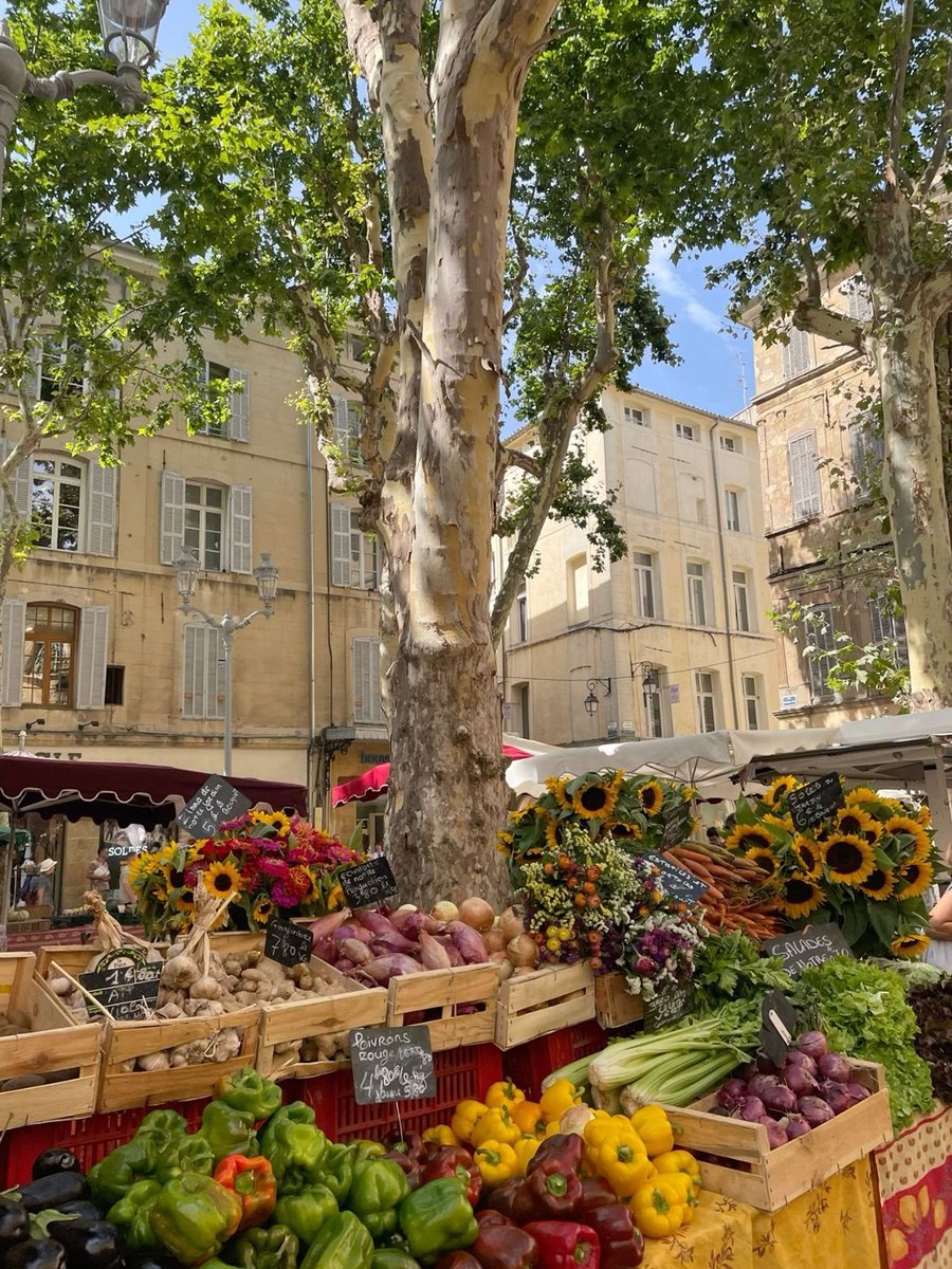 echoesofworld's tweet photo. south of France https://t.co/862kvee6rC