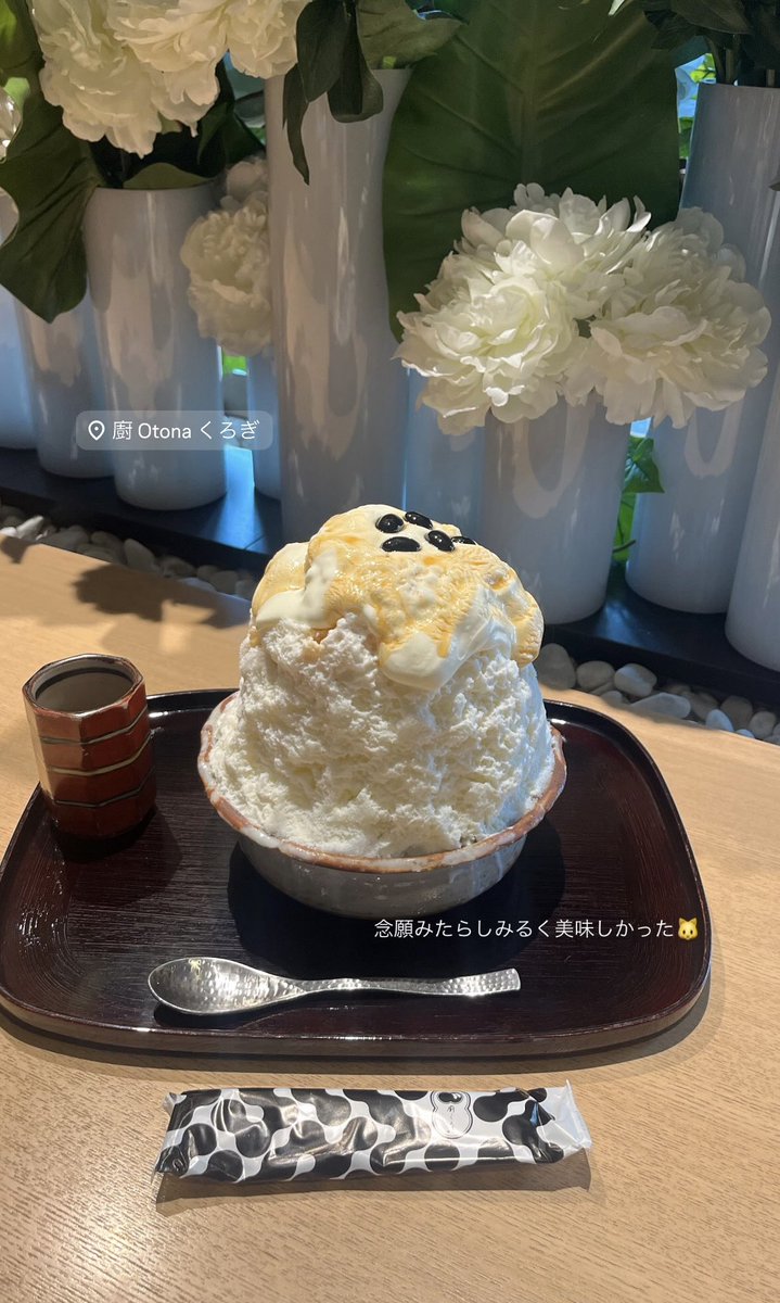 111_wanwaninu's tweet photo. 圧倒的に美味しかったかき氷4選🍧
パレスホテルは今年も予約した♡ https://t.co/X1vwFTjtzL