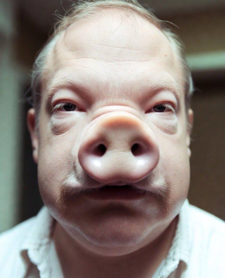 Gamer_chic888's tweet photo. @BalticDanny @Mikami2954 Ewwww , ugly incest inbred incel pig skin. https://t.co/w5sUSmTgEY