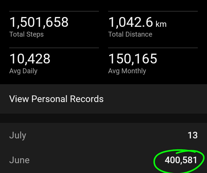 xedseraph's tweet photo. Ayyyyeee. 

notice that glorious block in may where I kept the streak for 14 days straight https://t.co/vBs0kZsP8r