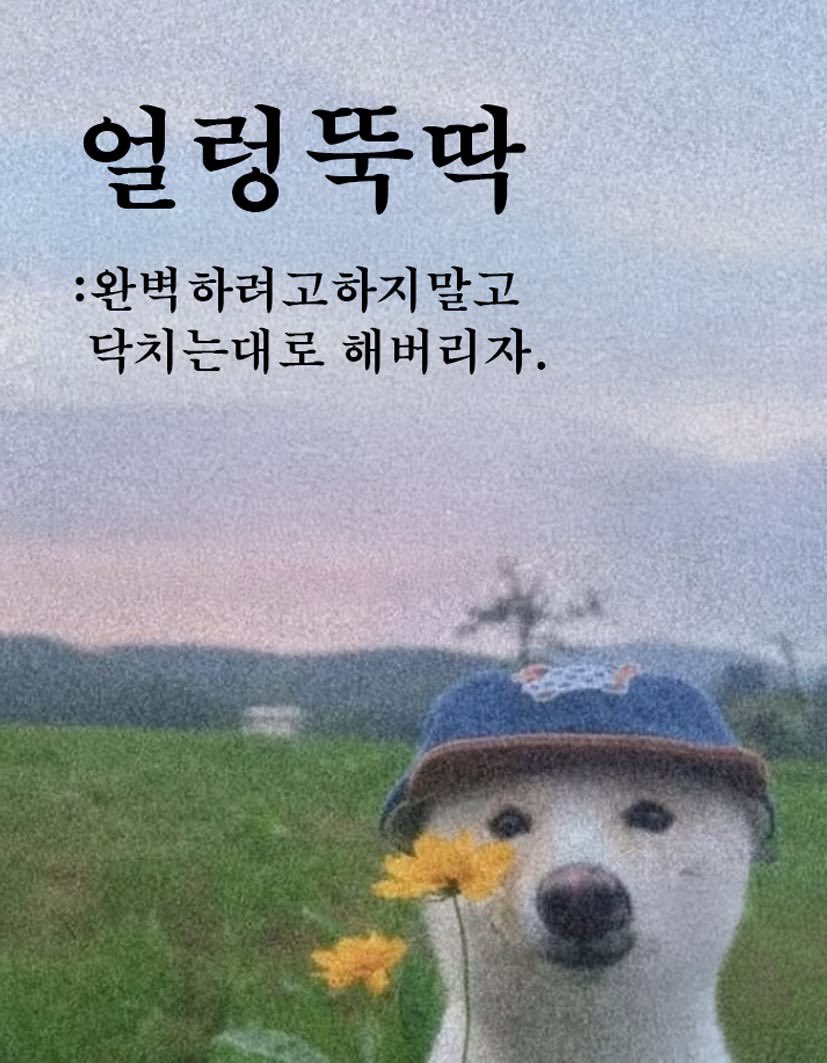guoh_IXth's tweet photo. 7월의 마음가짐
다시 새 사람으로 태어난다 https://t.co/3Pc80IoMP8