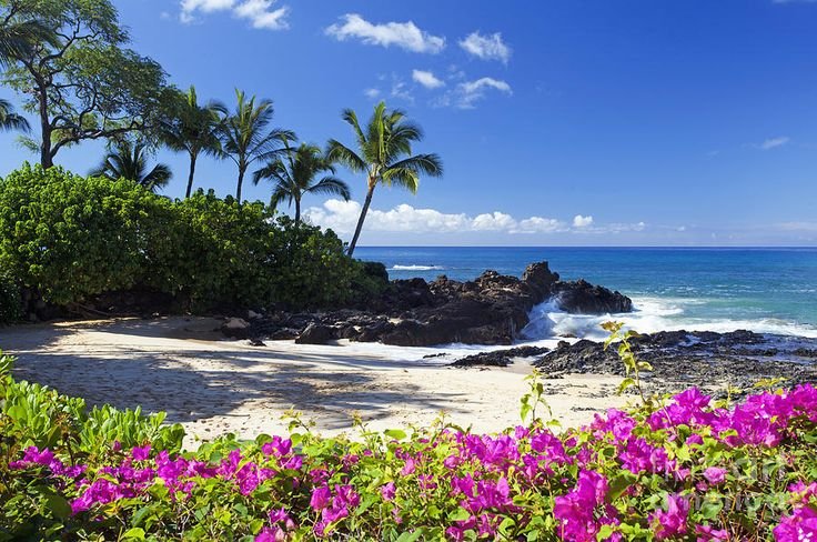 echoesofworld's tweet photo. tropical https://t.co/BKTcEptGFF
