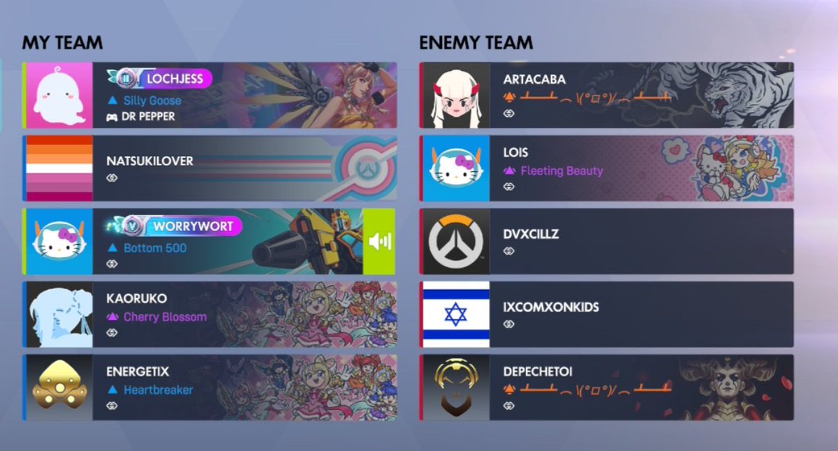 spacezeb's tweet photo. so puppygirl gets banned but names like the enemy tank are allowed???? blizzard sort yourself out https://t.co/zzQb0aOFEj