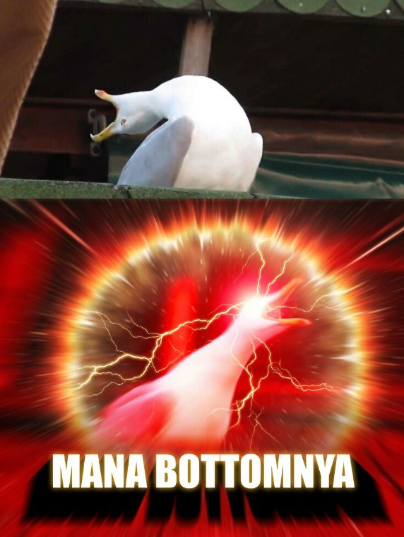 Trader Garis Meme tweet media
