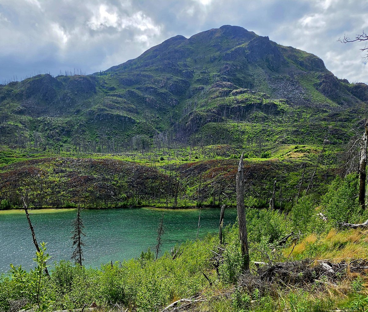 Carriebou50's tweet photo. The raw, resilient beauty of untouched wilderness of Alaska. https://t.co/dOcpHStgoC