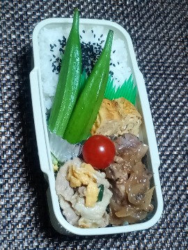 obentofather's tweet photo. おはようございます。
またまた雨の日です。早く梅雨明けしてほしいですな😀
今朝の体重は昨晩の摂生が効いたか67.7kg↘️👍
【#今日のお弁当】
・たまご焼き
・鯖水煮と玉ねぎ炒め
・豚ニラ玉
・オクラ
#お弁当記録 
#お弁当日記 
#おやじの弁当 https://t.co/yUeAWuZ80a