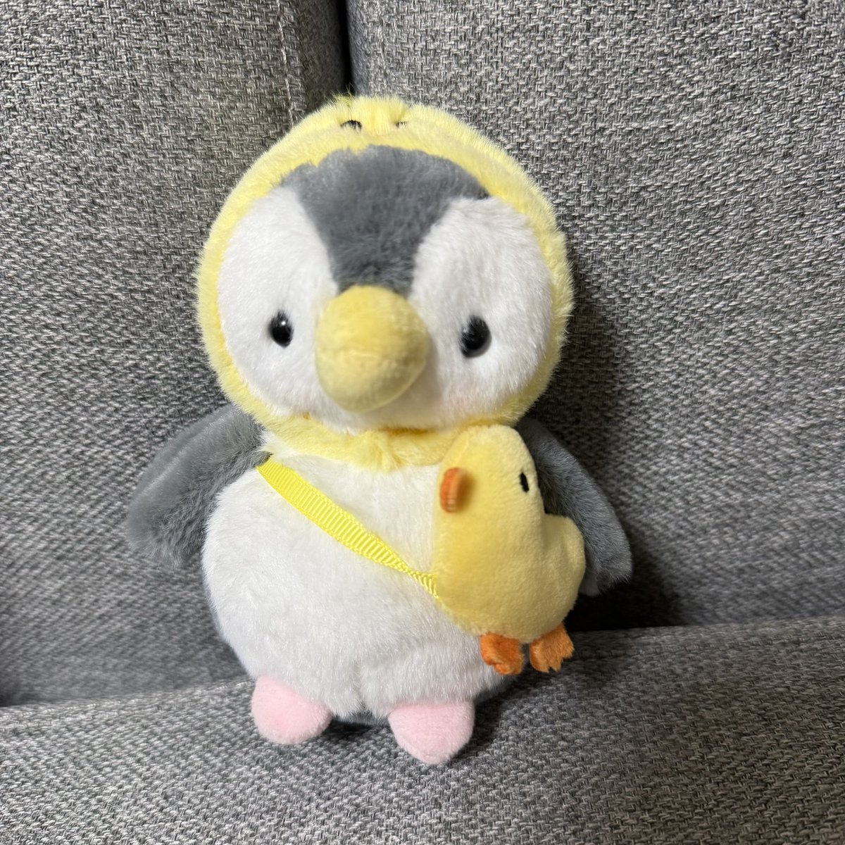 m_884_'s tweet photo. のぎおびのさ、瑠奈ちゃんの言ってる新しいぬいの特徴が似すぎてるんだけど、まさかね？ https://t.co/RQS2dUXs7d