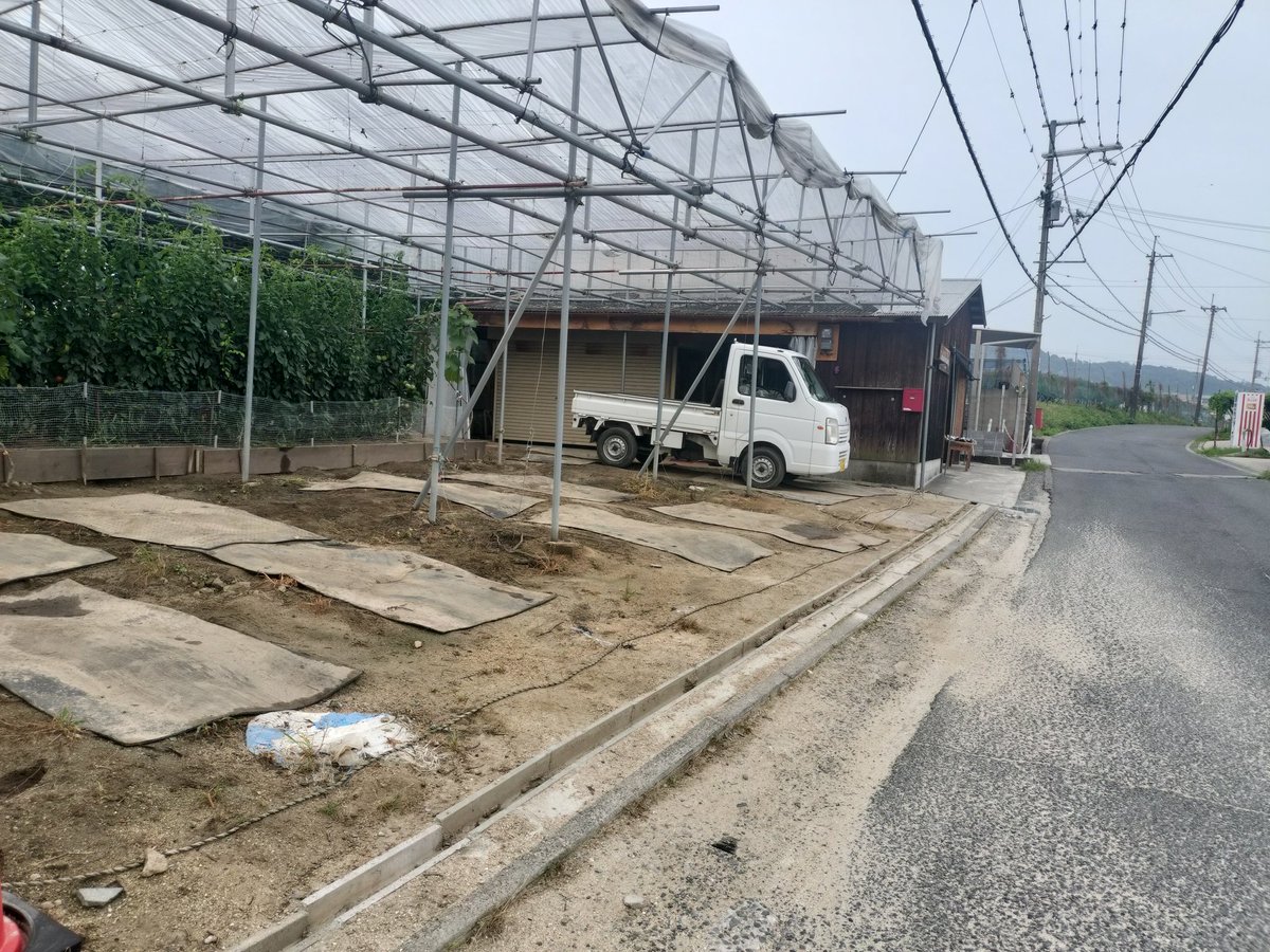 hoshinobudouen's tweet photo. ぶどうの販売について
①7月3日（金曜日）〜
②9時〜
③当面の間、デラウェアだけの期間は毎日
④駐車場は直売所の横に3台とその他に数台。公共道路で交通の妨げになる場合は近くの駐車場所まで案内させてもらいます。
⑤星野ぶどう園直売所←検索で。 https://t.co/pHoE6Niw5N