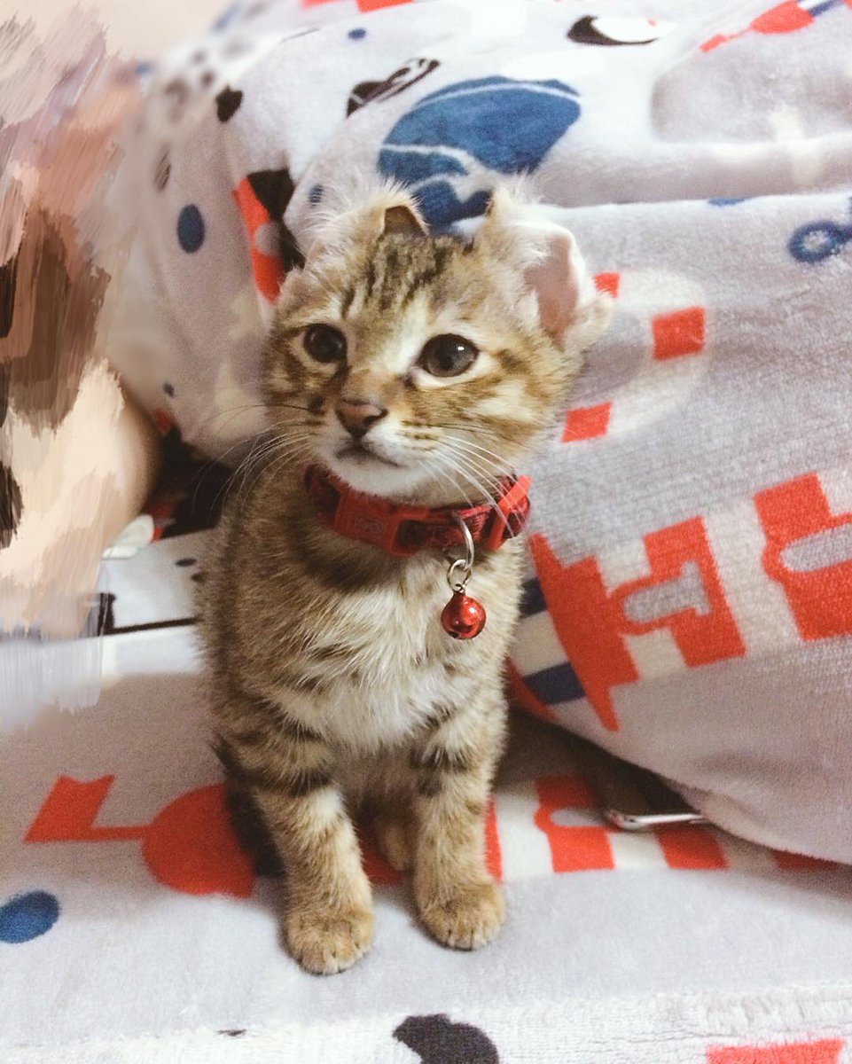 dimalmangkr's tweet photo. ꒰ఎ𝙵𝚎𝚋𝚛𝚞𝚊𝚛𝚢✩︎⡱𓂃𓈒໒꒱ 𓏸*˚ https://t.co/A2jiHL8082