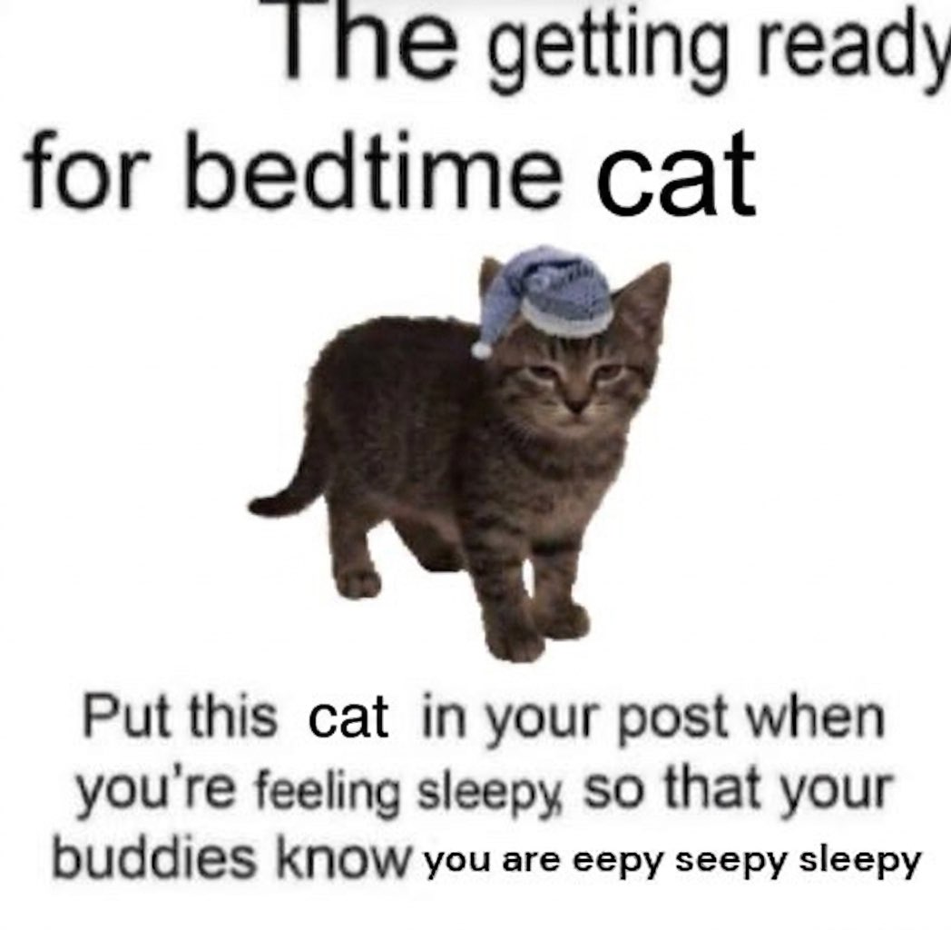 hardcatmemes's tweet photo. https://t.co/TbJf5oYo0M