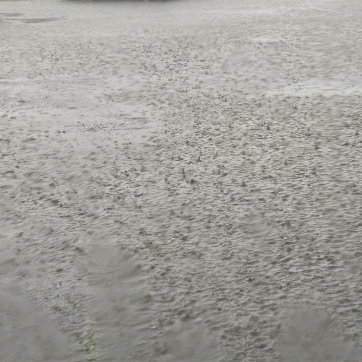 umeboshi634's tweet photo. 某所駐車場
雨がすごくて出られないと、様子を見ていたらその後もっと水浸しに。

#ゲリラ豪雨 https://t.co/Xi8zygBl4r