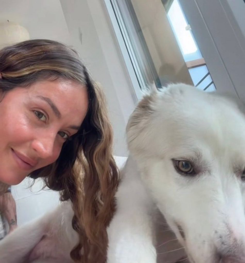 isy29368958's tweet photo. Cucciole🥰#helevier https://t.co/WS4pnG7wrP