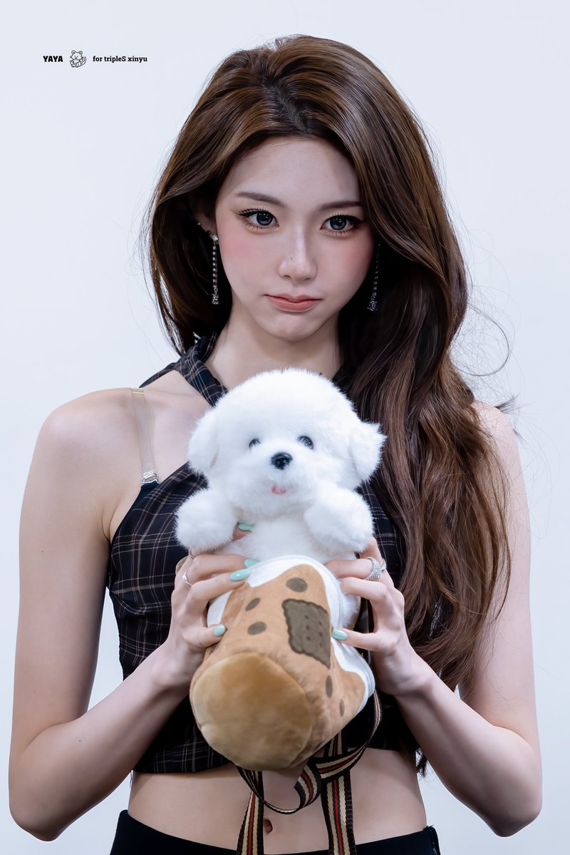 dailytriples's tweet photo. ˚｡⋆ xinyu

c. @Kittyyyyyyyyya https://t.co/mvsUVSSZa9
