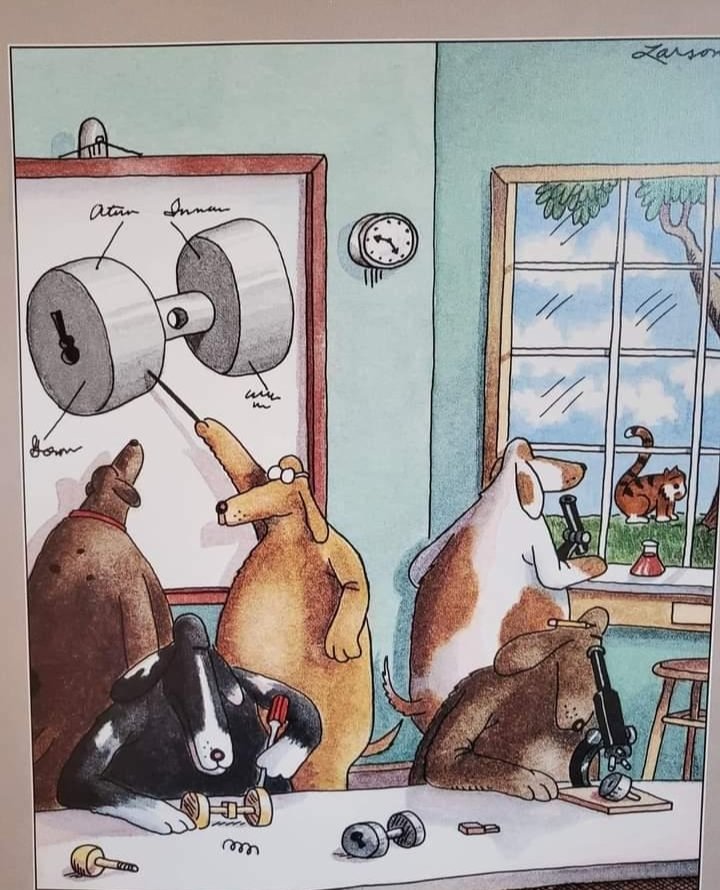 6black44's tweet photo. Knowing how it could change the lives of canines everywhere, the dog scientists struggled diligently to understand the Doorknob Principle https://t.co/IMpOJloTfu