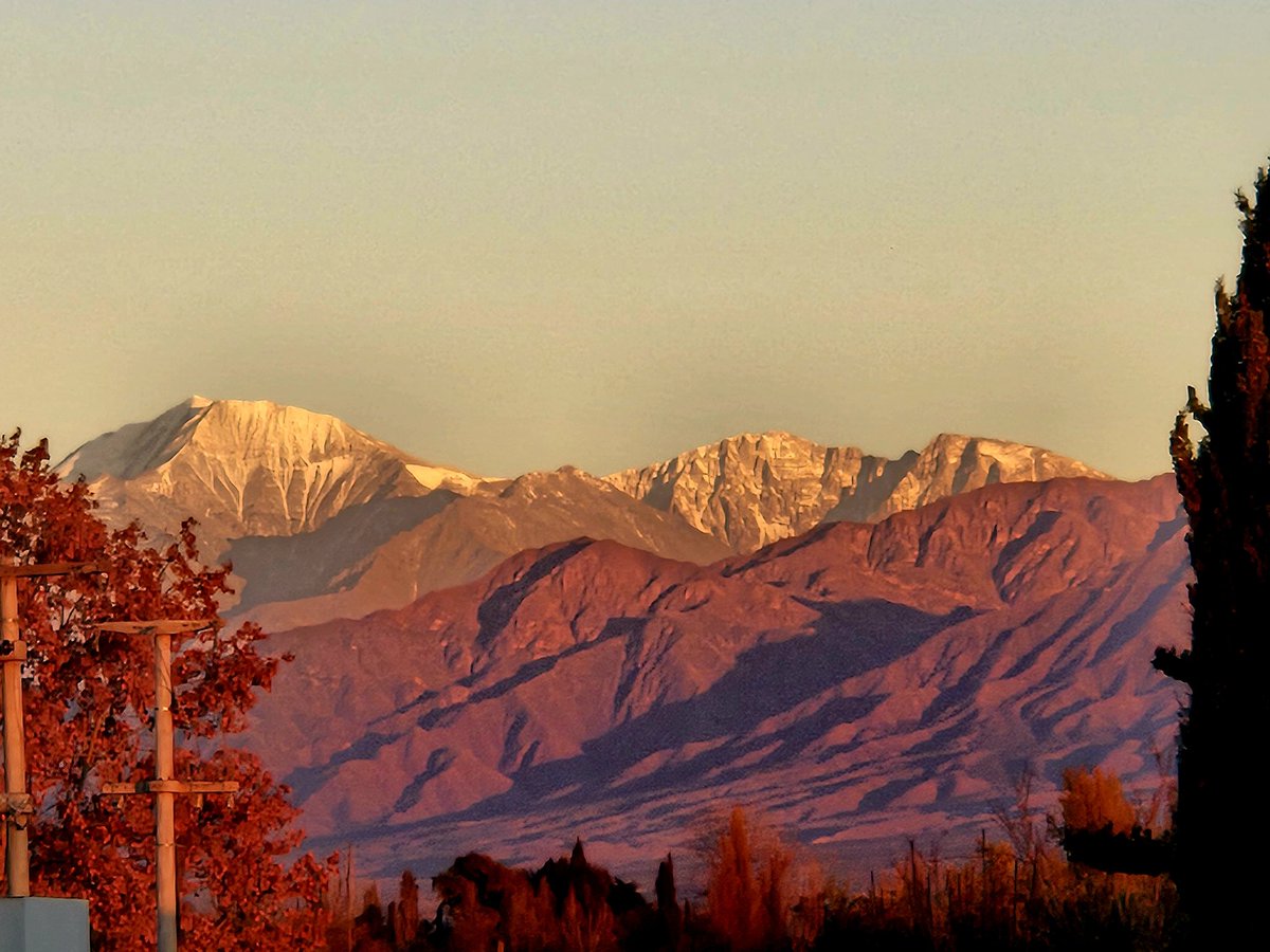 fergaspe1973's tweet photo. Hoy trabajo en casa 
#LujandeCuyo
#mendoza https://t.co/U1gWXmizSu