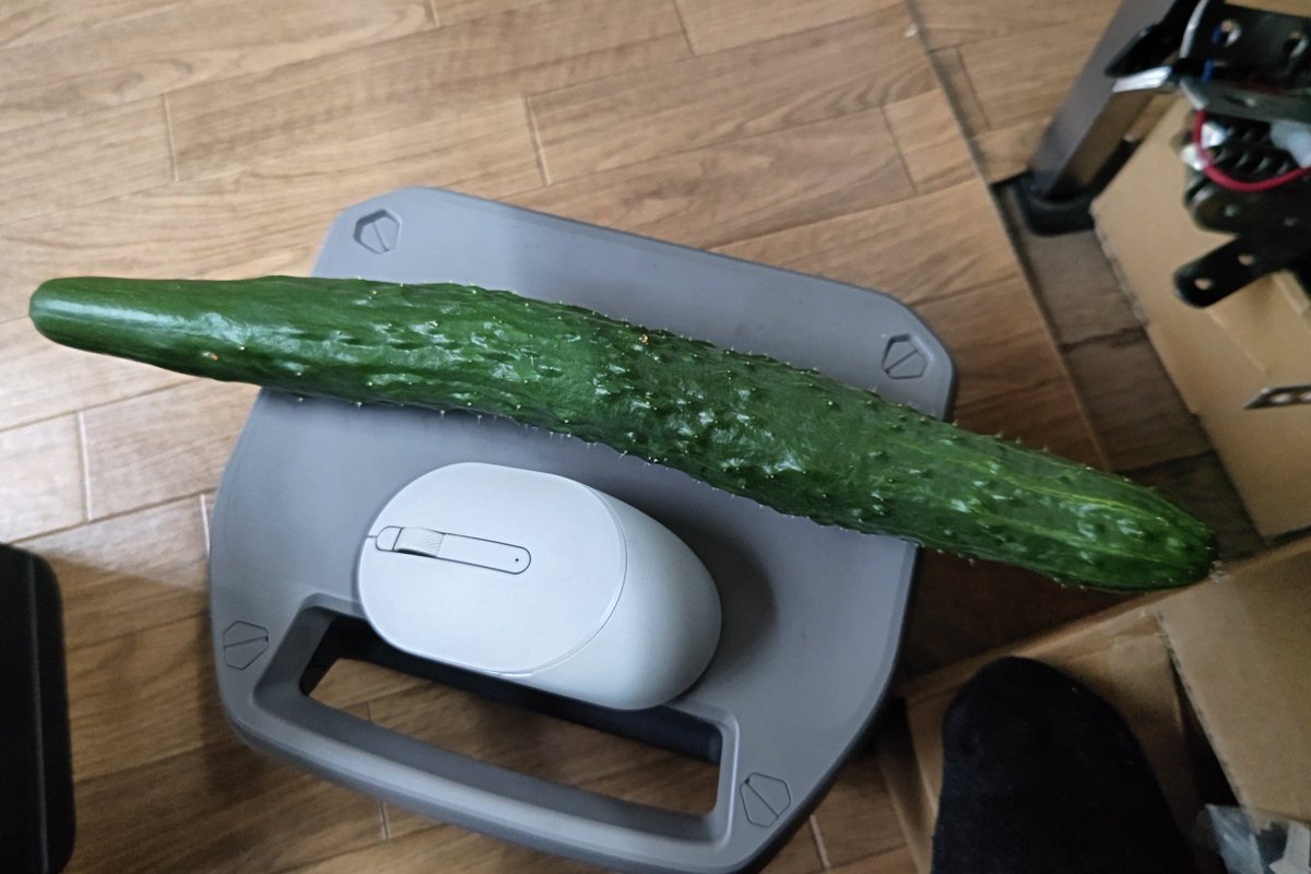 zerobest0123's tweet photo. #キュウリ
#家庭菜園
#当社比
#取ったどーキュウリ🥒🤣デカいっす https://t.co/thCRbXzhSt