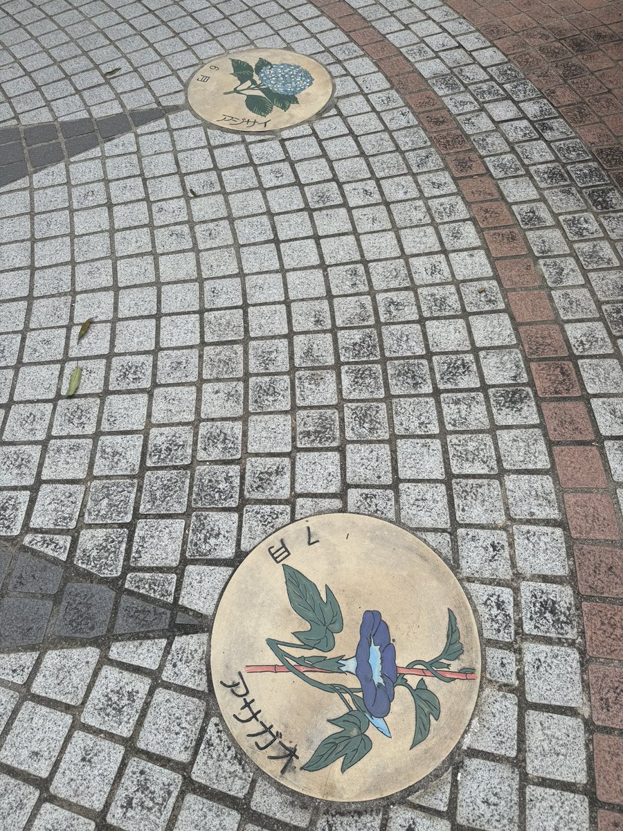 S_S_TK's tweet photo. 0816 6月→7月 https://t.co/YBrtFM6ScY