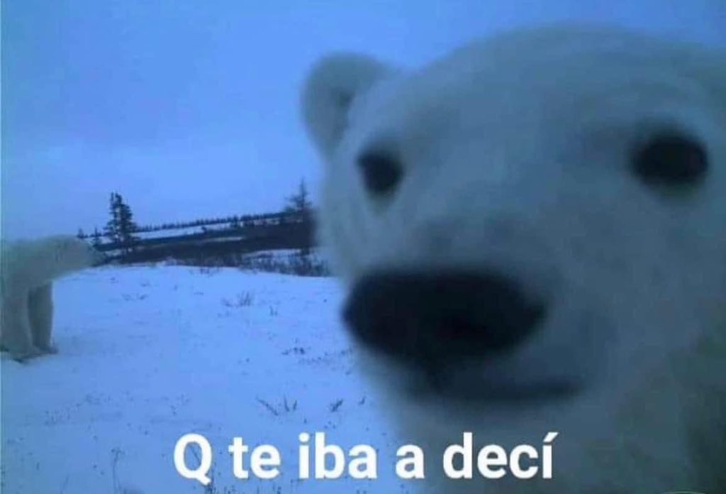patogarat's tweet photo. yo siempre: https://t.co/F5O5vlwMwf