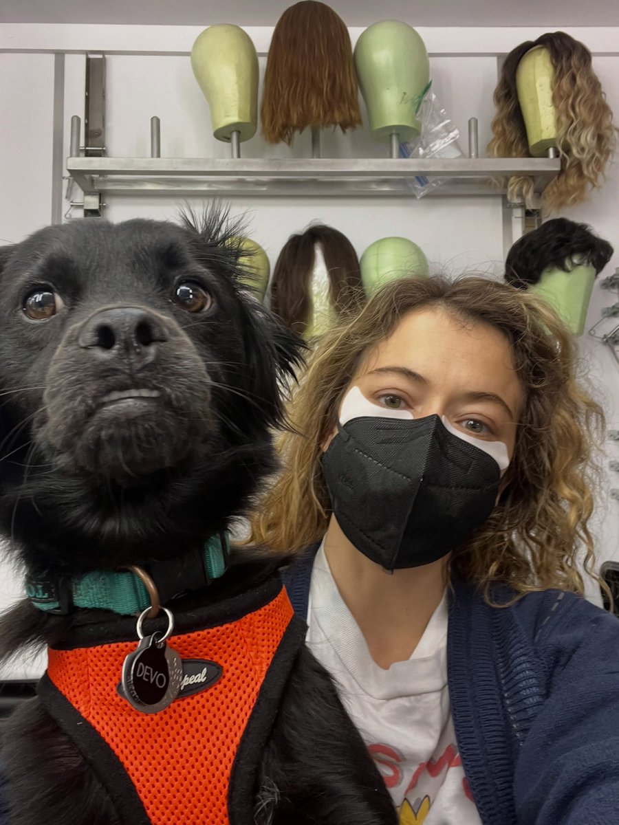 SestraHulk's tweet photo. Tatiana Maslany celebrates the release of #MaximumPleasureGuaranteed Episode 8 with pics of her dogs! 

“Earl and Devo would love to thank the beautiful crew who took care of them while they visited the set of Maximum Pleasure Guaranteed. Here are a few of their amazing friends” https://t.co/Mo6QDSKdYS