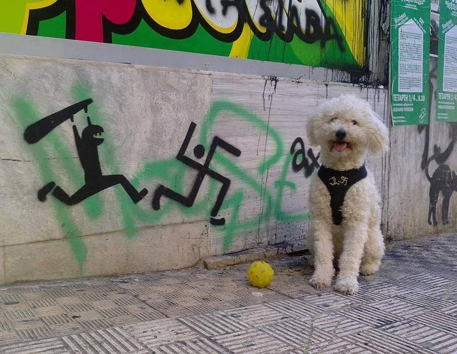 ultras_antifaa's tweet photo. Love dogs, hate nazis. https://t.co/9jotOFr7ux