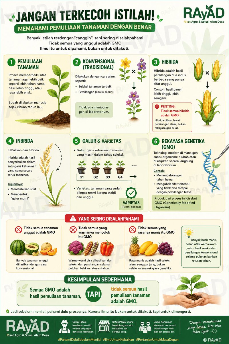 Excel_Dee's tweet photo. Selamat Pagi...
Semangat Hari Rabu...

JANGAN TERKECOH ISTILAH.

Di dunia pertanian, banyak istilah seperti hibrida, inbrida, varietas, galur, sampai GMO sering terdengar “canggih”… tapi justru sering bikin salah paham.

Padahal, tdk semua yg terlihat unggul itu hasil rekayasa genetika.

Hayuuk kita luruskan 👇

Pemuliaan tanaman adalah upaya memperbaiki sifat tanaman, bisa lewat cara alami (konvensional) atau teknologi modern.

-Hibrida itu hasil persilangan dua induk unggul.
Ini proses alami, bukan rekayasa gen di laboratorium.

-Inbrida digunakan utk menstabilkan sifat dan membentuk galur murni.

-Varietas adalah hasil akhir yg sudah stabil dan resmi dilepas.

-GMO (Rekayasa Genetika) adalah teknologi khusus yg memodifikasi gen secara langsung di laboratorium.

Nah, ini yg sering keliru :
Tidak semua hibrida adalah GMO
Tidak semua yg warnanya mencolok itu GMO.
Tidak semua yg rasanya manis itu GMO.

Banyak buah manis, besar, dan warna-warni justru hasil seleksi dan persilangan alami selama puluhan bahkan ratusan tahun.

Semua GMO adalah hasil pemuliaan tanaman, tapi tdk semua hasil pemuliaan tanaman adalah GMO.

Jadi sebelum menilai, pahami dulu ilmunya.
Karena ilmu itu bukan uk ditakuti… tapi untuk dimengerti.

Semoga Bermanfaat...🙏