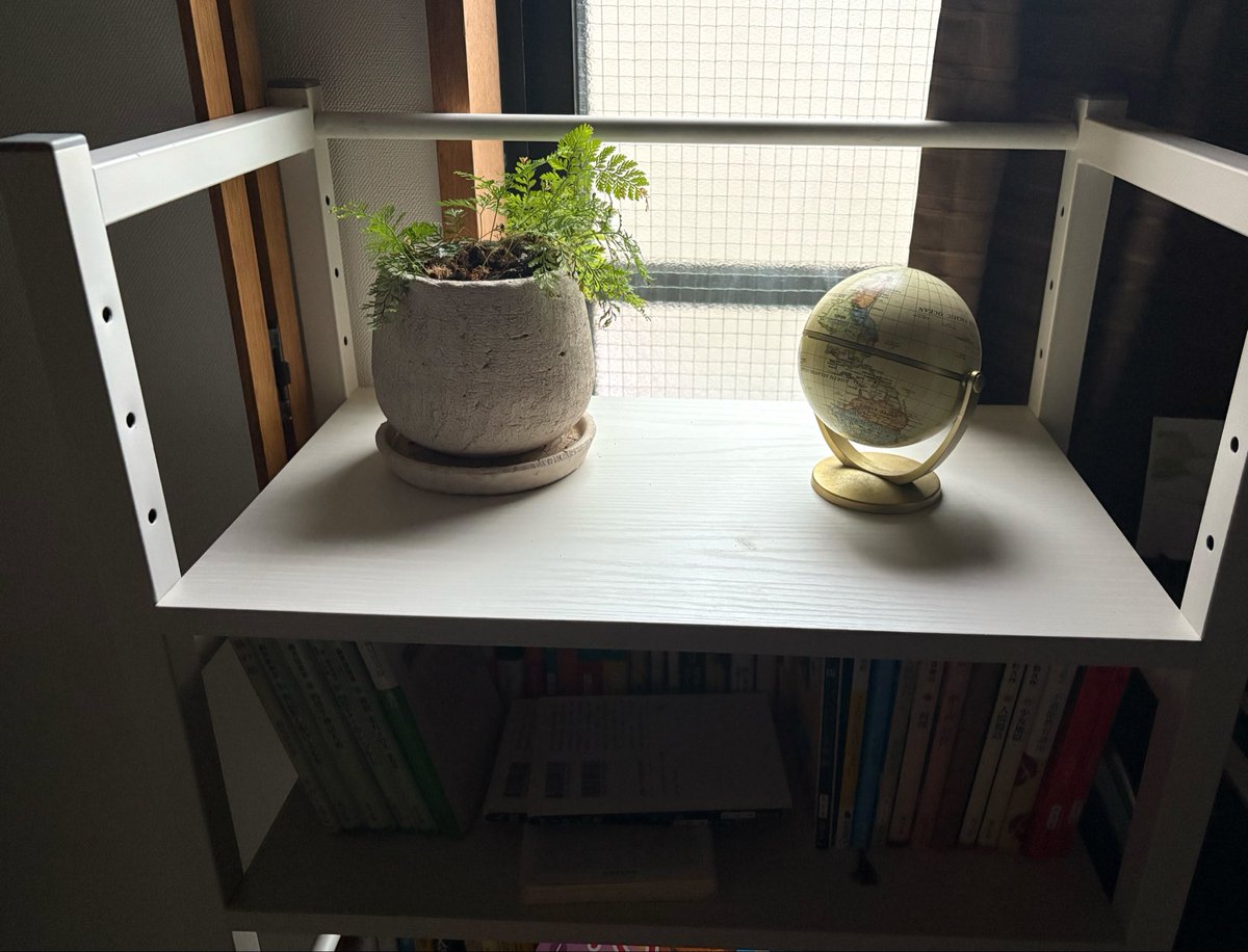 kien0110's tweet photo. 朝。 https://t.co/YQt5tG7IpM