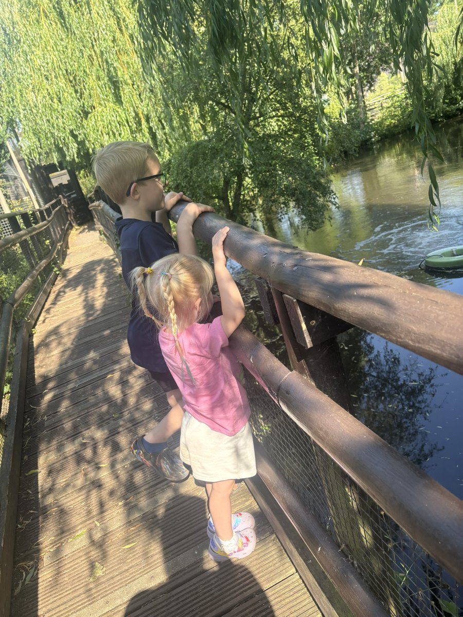 xaliceannax's tweet photo. I am a Pink Lady & I am a mum of four, including two young women, and a nan of three with a two-year-old granddaughter, I lie awake at night gripped by a deep, gnawing fear for the world they are being forced to grow up in. The thought of their future slipping into uncertainty fills me with a fierce, burning anger that I can no longer ignore.
I believe the governments has utterly lost control of our borders, and the consequences are unfolding before our eyes. I am desperate for immediate, decisive action to restore order and rebuild the shattered sense of trust and security in our communities.
Millions of people have arrived over recent years, and the strain is no longer abstract—it is visible in overcrowded housing, overstretched public services, and communities struggling to hold together under immense pressure. These are not distant concerns; they are urgent, escalating crises that demand bold, effective solutions now.
More than anything, I want my daughters and granddaughter to grow up in a country where they can walk freely without fear, where laws are respected and enforced, and where their future feels stable, protected, and full of possibility—not overshadowed by uncertainty.
I can’t stay silent any longer. The weight of this fear and frustration is too great. I want change, and I want it now. @RestoreBritain_ @W4Restore @pinkladies_uk 💖🙏🏻🇬🇧♥️🤍💙
#Dover #July4 #protest #saveourkids #protectourwomen #pinkladies #saveourcountry @Pinkladiesherts @josssticky @YorksRose_84 @orlaminihane @GeminiGirl_XO @pinkprincess83x