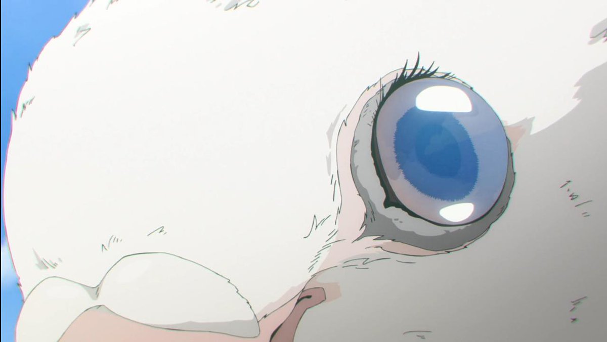 GeovaneReact's tweet photo. Shunkashuutou Daikousha: Haru no Mai #09

Tenho os meus problemas com o texto da obra (assim como eu tinha com Violet Evergarden) mas adoro bem mais a produção disso aqui, a direção em específico foi excelente, tem ótimos visuais em todos os episódios. https://t.co/flCsV1srqn