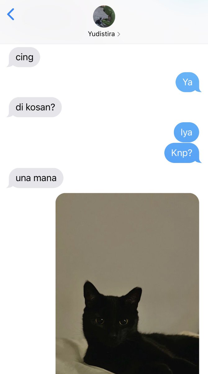 fiiordilatte's tweet photo. #NoteSunFluffWeek Day 3 - Cat, Dessert

#NoteSun 🎵☀️ few tweets au

—
3.1 adek baru https://t.co/FwVs9jGEj0