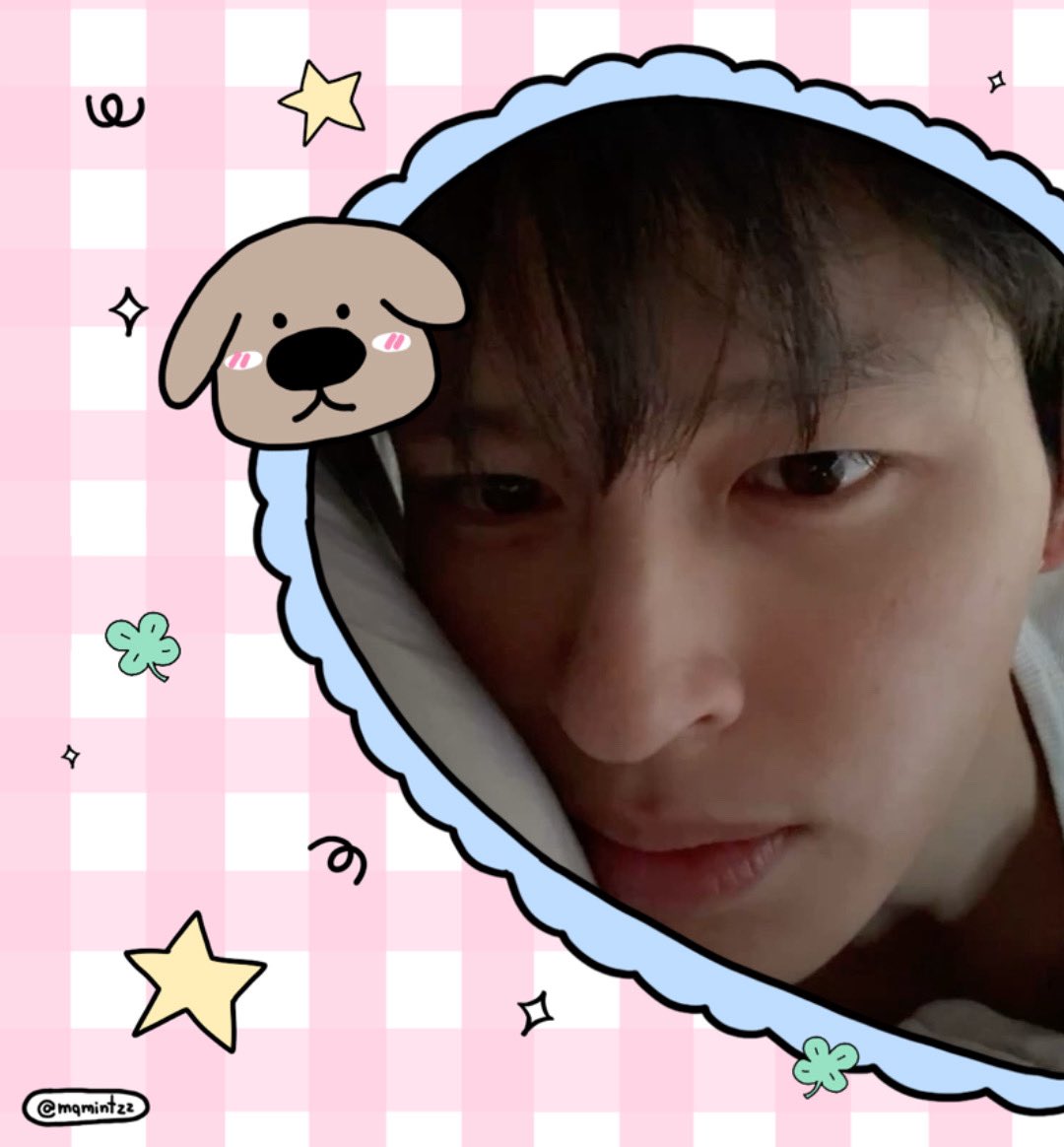 narameowz's tweet photo. 🐶♡🐱⸝⸝⸝ https://t.co/JMtE6ekz2V