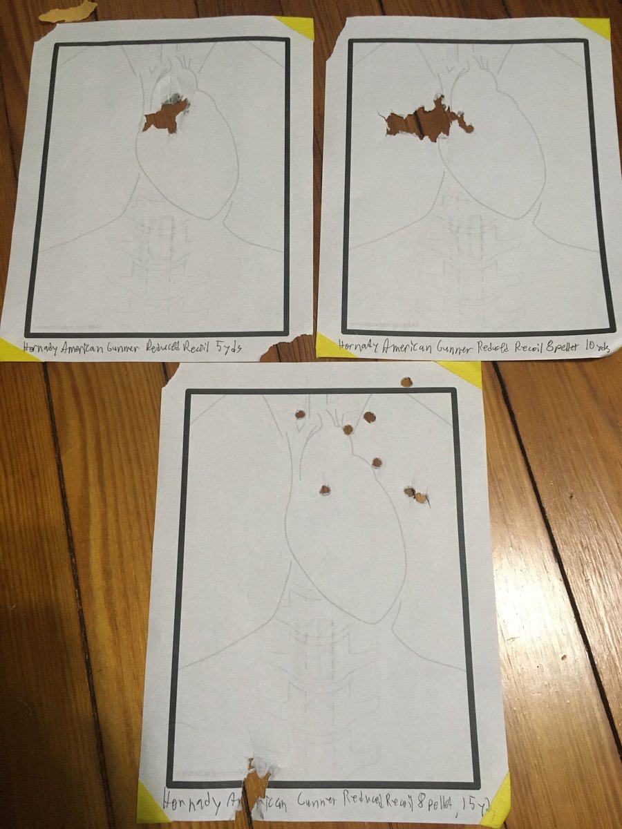 SPhillipsWrites's tweet photo. @frankmarion1732 @MrLeadslinger I like shotguns. So much so that I like to pattern buckshot at different ranges, just to see how accurate it is. Here’s a couple loads out of my 1301 that I shot a while back. https://t.co/V9Zp6FDBoO
