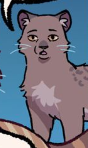 Lunichkaz's tweet photo. AW AW MUDFUR HE HAS HIS DAUGHTERS LEOPARD SPOTS ☹️☹️☹️☹️☹️🙁 https://t.co/bP4ENJrUPT