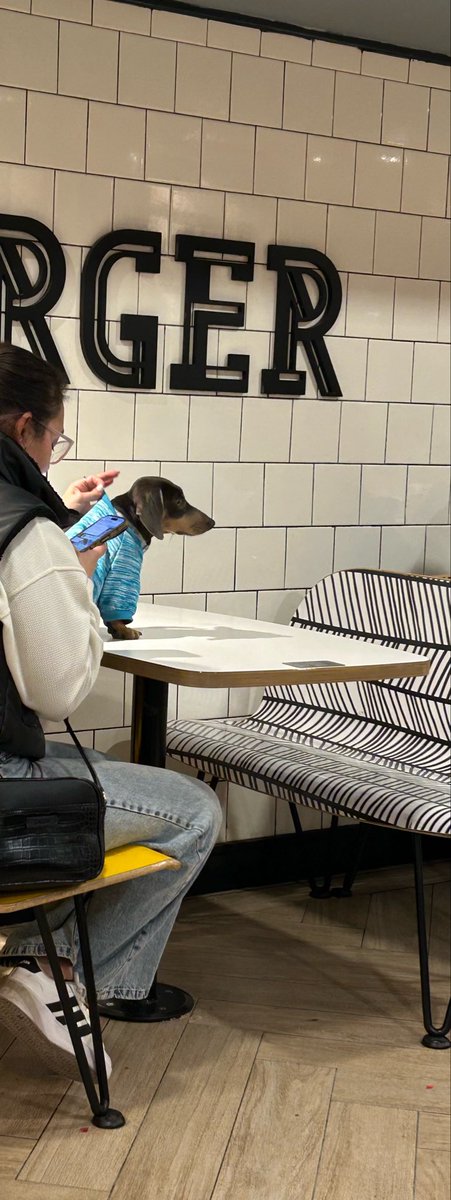 rociocomenta's tweet photo. Hoy en “me chupa un huevo la gente que coma después de mi” by McDonalds. El perro lamiendo toda la mesa, muuuy higienico todo en el nuevo centro. #Cordoba #NuevoCentro #McDonalds https://t.co/VLQJQsylj2
