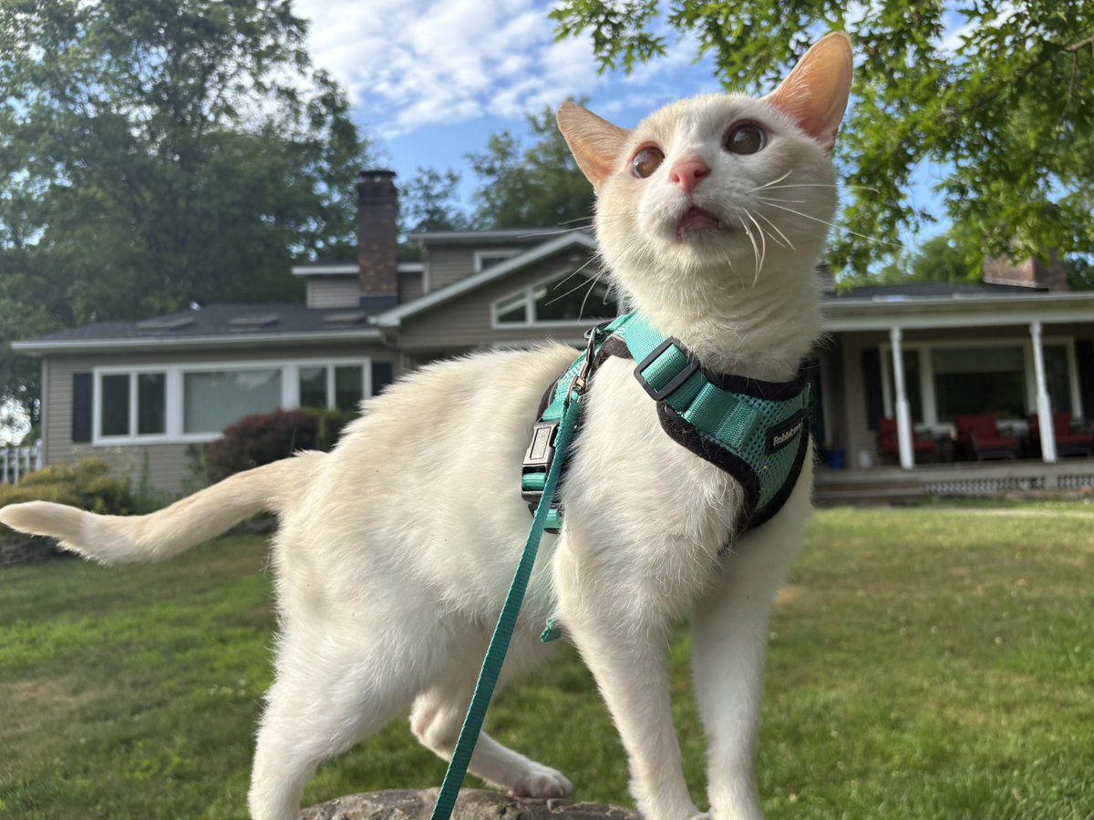 ganymedeshouse's tweet photo. Outside time https://t.co/ftXK0ck3sS