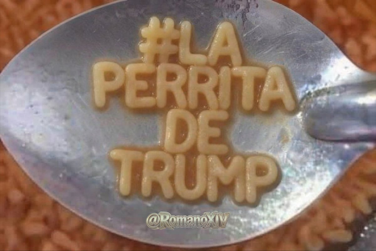 Tiliches4T's tweet photo. #LaPerritaDeTrump
#LaPerraDeTrump
#LasPerritasDeTrump
#LasPerrasDeTrump https://t.co/ADk7MCwI1v