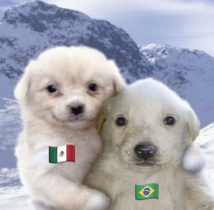 holIandergrl's tweet photo. @AldodeLeon MÉXICO VENCENDO DE 2x0 É ISSO QUE QUEREMOS NOSSOS HERMANOS NO TOPO https://t.co/rsauzgaTtV