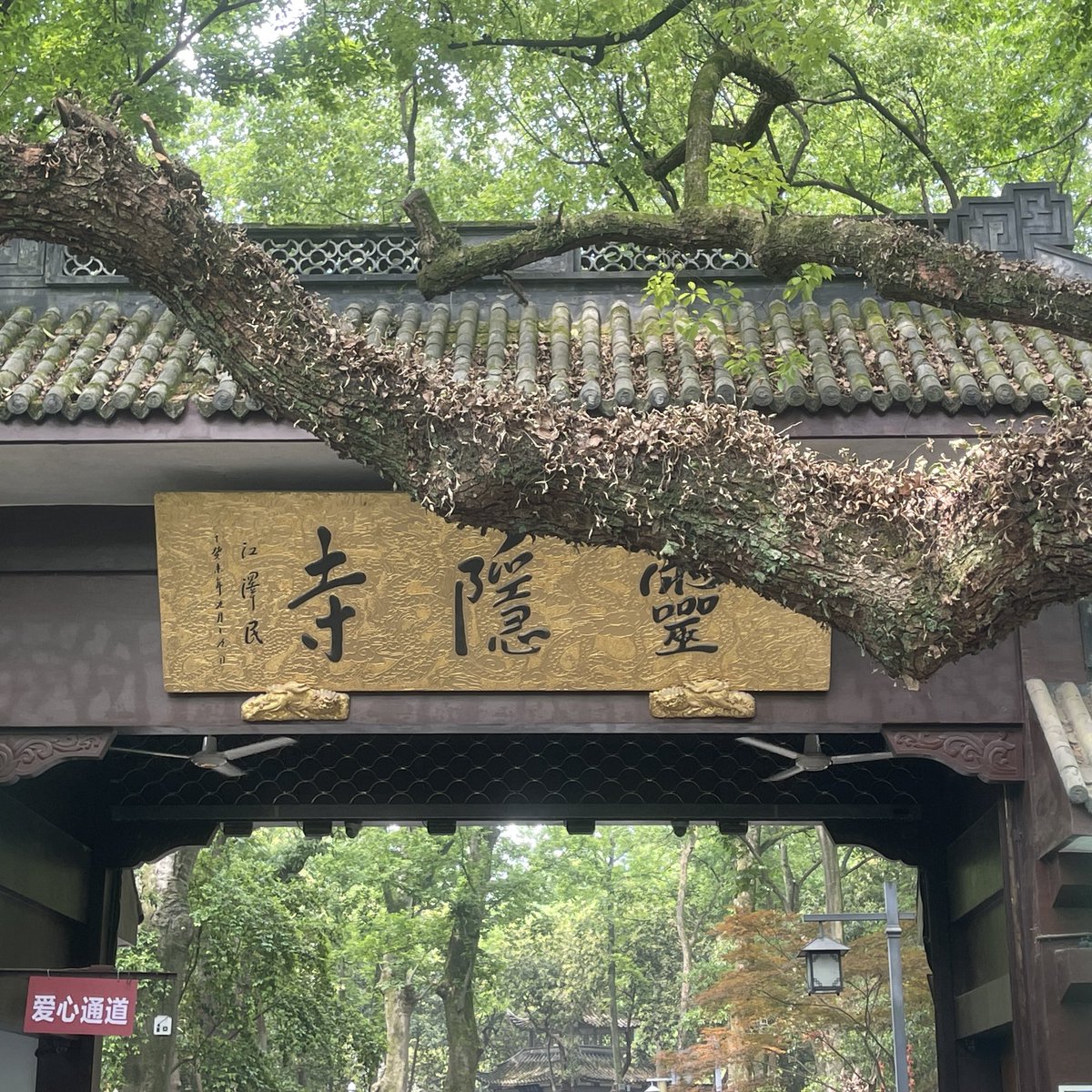 mayinggqi's tweet photo. China hangzhou https://t.co/tqprTFqIVG
