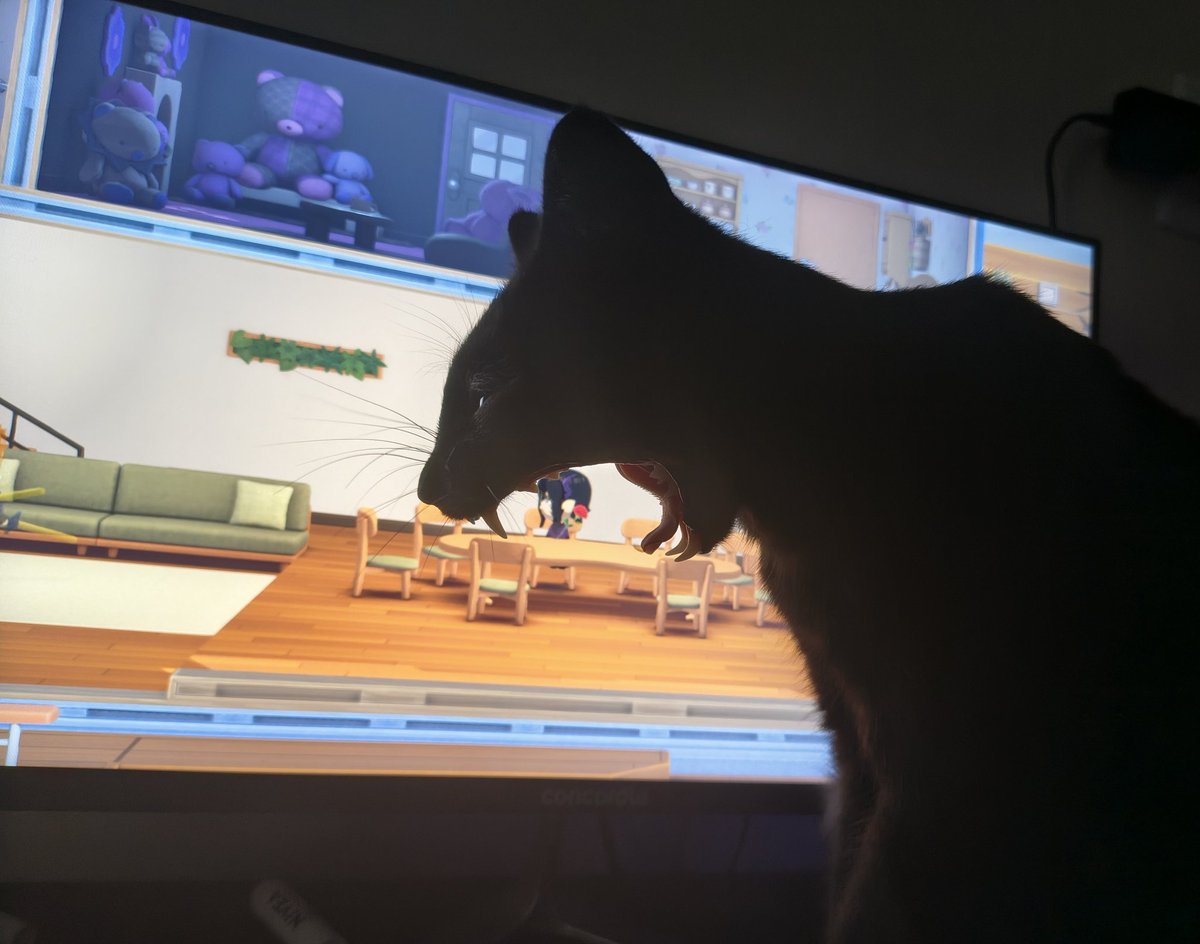 bansheeattacks's tweet photo. i was taking pictures of elly and it looks like hes gonna eat my tomodachi lookalike what did i do to you https://t.co/w7NT9DsG8o