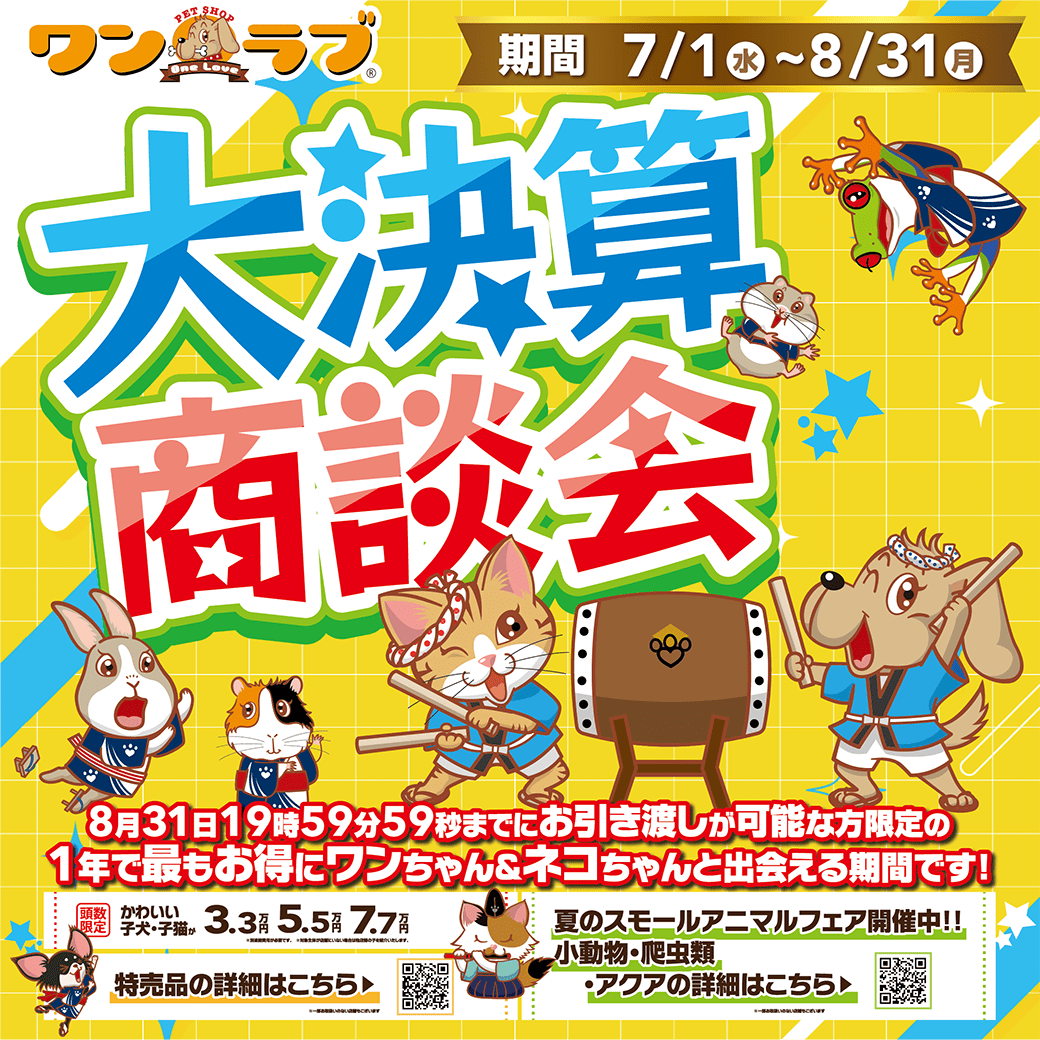 petonelove's tweet photo. 【2026年 大決算商談会 開催！！】ワンラブ総決算 22周年祭｜大決算商談会開幕！！ 8/31お引渡しまで

https://t.co/To8PjWI2IF https://t.co/pFmx77G5dF