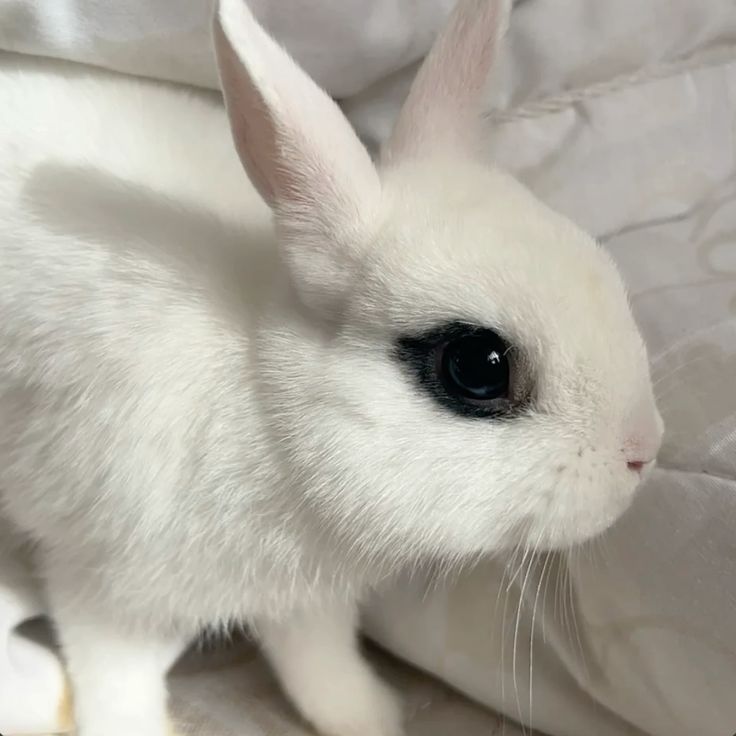 maximiffy's tweet photo. oh hello little wanda maximoff &amp; sam wilson! https://t.co/6Skup9TxDr