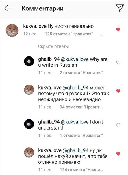 🚩ястребица 🚩 tweet media