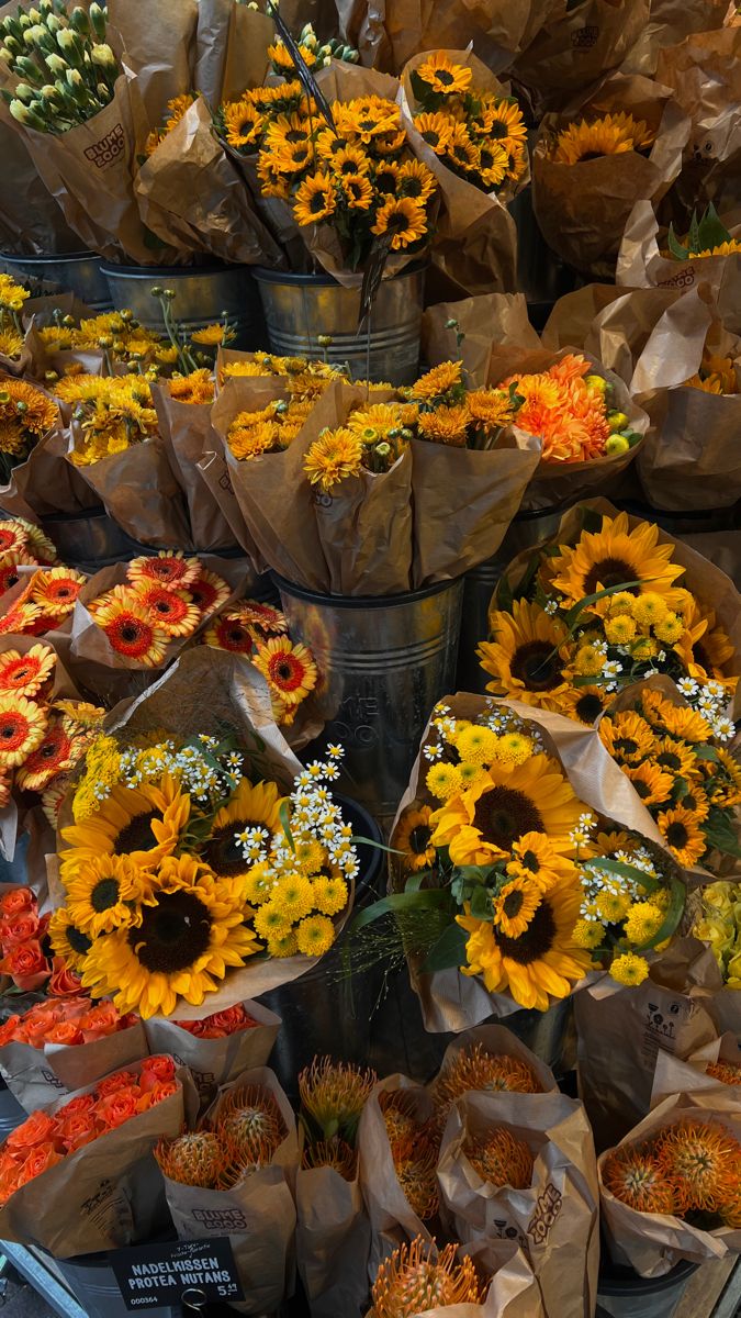 flowersplanettt's tweet photo. https://t.co/ANOfNZb18I