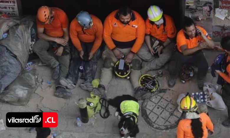 VilasRadio's tweet photo. 🪖🛑 TOPOS CHILE DENUNCIA HOSTIGAMIENTO DE MILITARES VENEZOLANOS POR SOSPECHA DE ESPIONAJE EN MEDIO DE CRISIS POST TERREMOTO 🛑🪖

🇨🇱🇻🇪 ¡Escándalo en la zona de catástrofe! El líder de la agrupación de rescatistas chilenos, Francisco Lermanda, reveló las constantes trabas y los reiterados controles de identidad a los que son sometidos bajo tierra por parte de las fuerzas armadas locales. 🧗‍♂️⏳

👇 Conoce los detalles de esta grave denuncia internacional y la respuesta completa de los rescatistas chilenos en la nota:
🌐 https://t.co/ORYGyCna0h

#ToposChile #Venezuela #TerremotoVenezuela #DenunciaInternacional #HostigamientoMilitar #Rescatistas #Espionaje #FuerzaTopos #AyudaHumanitaria #EmergenciaClimática #VilasRadio 📻✨