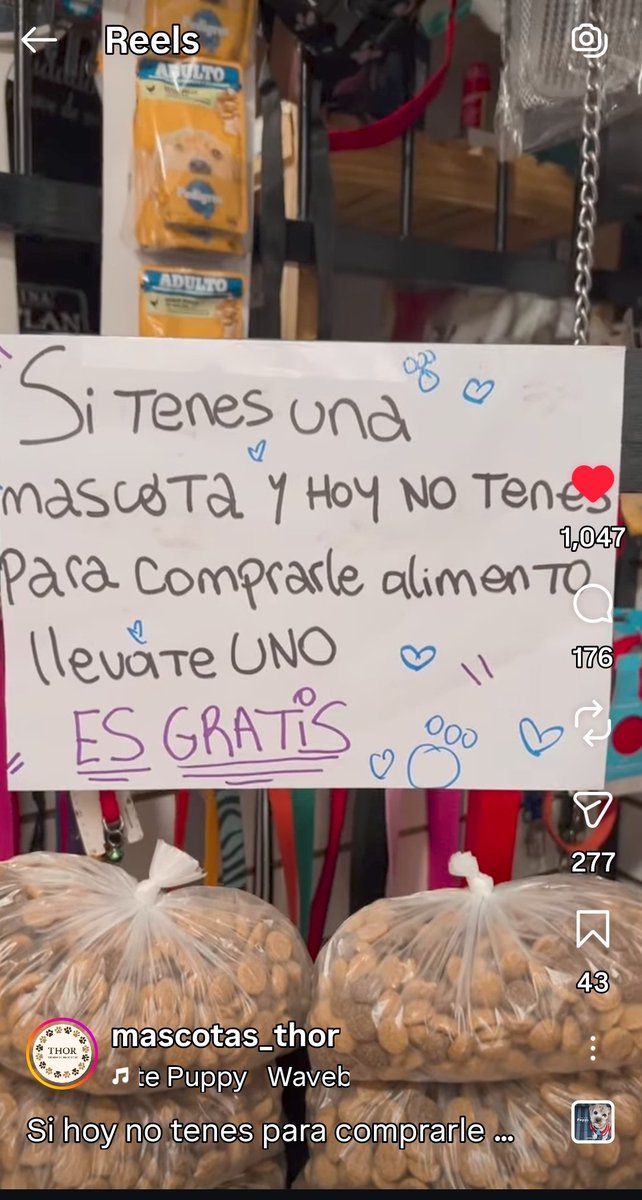 wra5's tweet photo. Está tienda de mascotas de Rafael Calzada, en un gran gesto solidario siganlos en IG se merecen el reconocimiento de todos @@patri @agarra_pala @refuasis @elcampito @ALEXIANA777 @atlanticsurff @betovaldez https://t.co/nVg7aTjDss