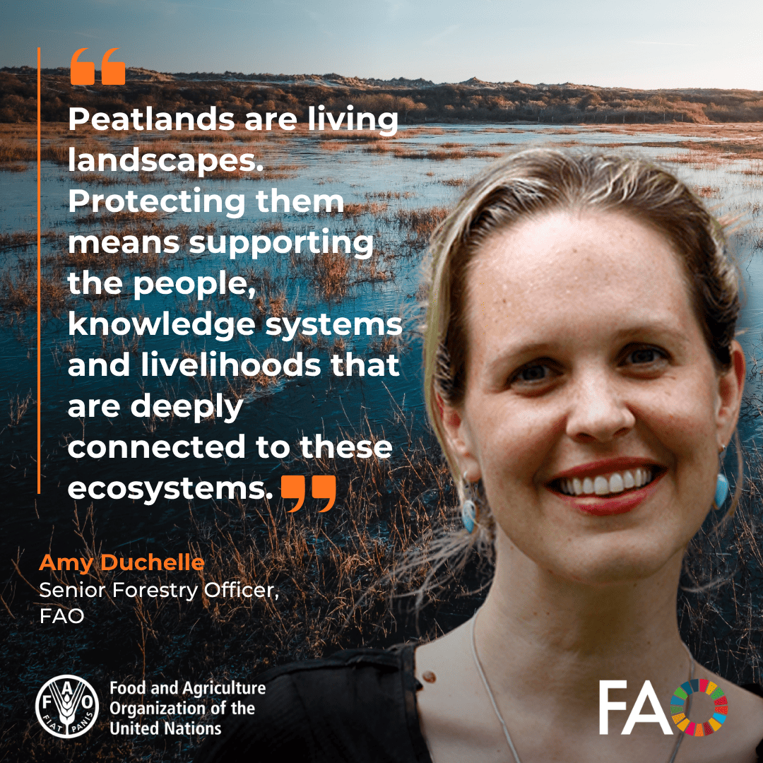 FAOForestry's tweet photo. “Peatlands are living landscapes. Protecting them means supporting the people, knowledge systems and livelihoods that are deeply connected to these ecosystems,” @FAO's Amy Duchelle @ADuchelle tells the Global Peatlands Initiative Fourth Meeting

#PeatlandsMatter
@UNEP @MinamPeru https://t.co/B48XkdstO0
